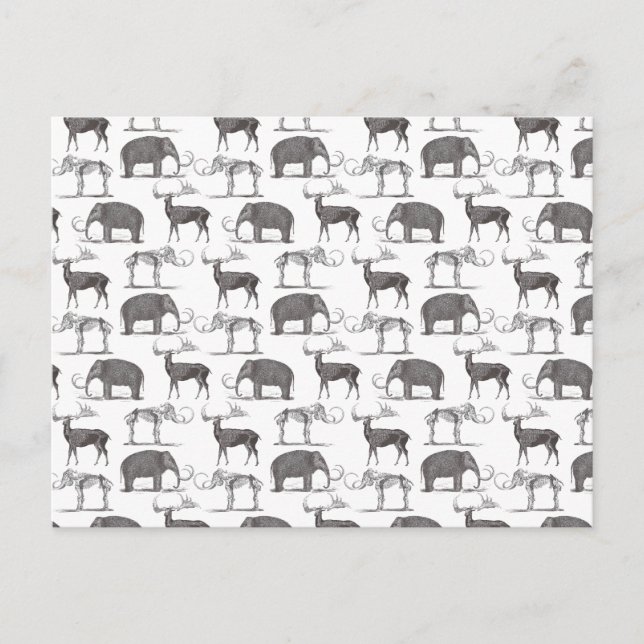 Prähistorische Tiere - Wollmammut und Megaceros Postkarte (Vorderseite)