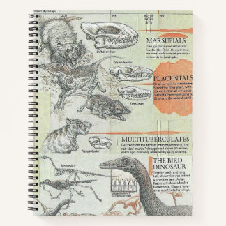 Prähistorisches Notizbuch