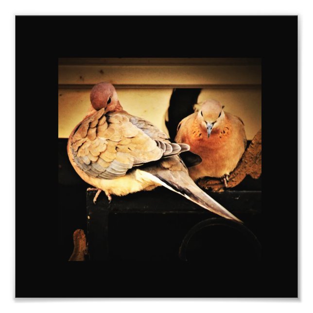 Prähorn Fotodruck (Vorne)