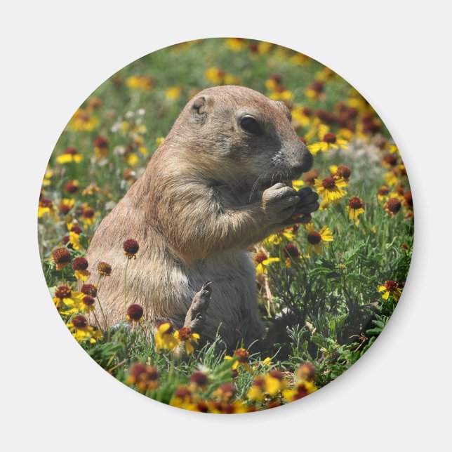 Praire Dog Magnet (Vorne)
