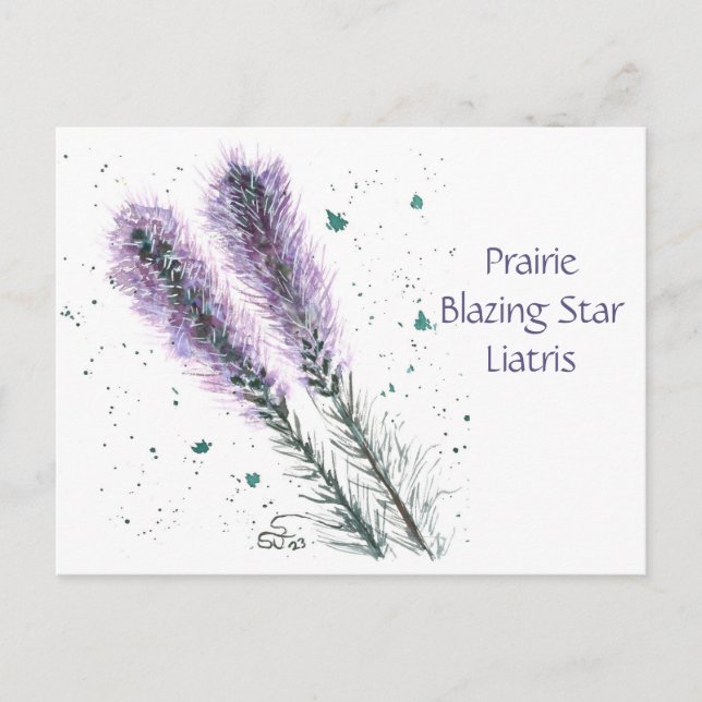 Prairie Blazing Star Post Card Postkarte (Vorderseite)