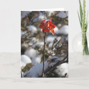 "Prairie Blossom" Weihnachtskarte Karte