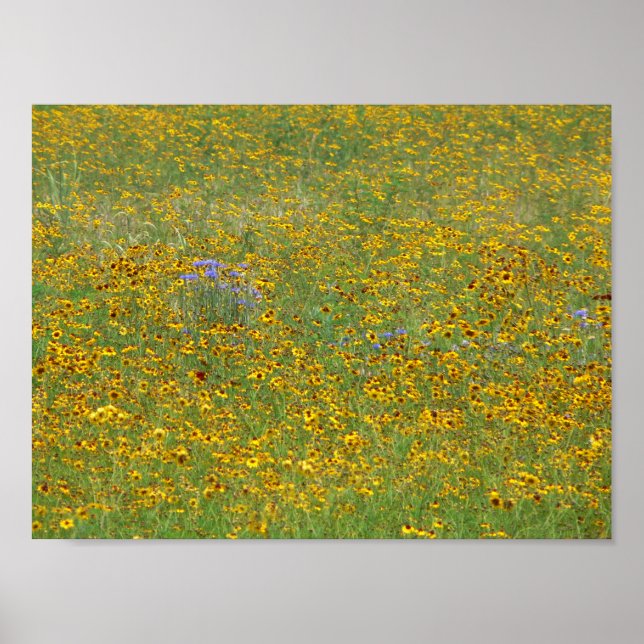 Prairie-Blume, Indiana Poster (Vorne)