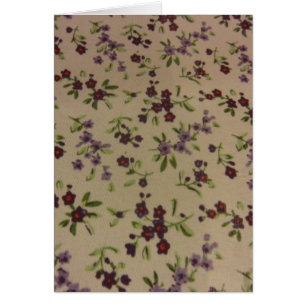 Prairie Calico Blume