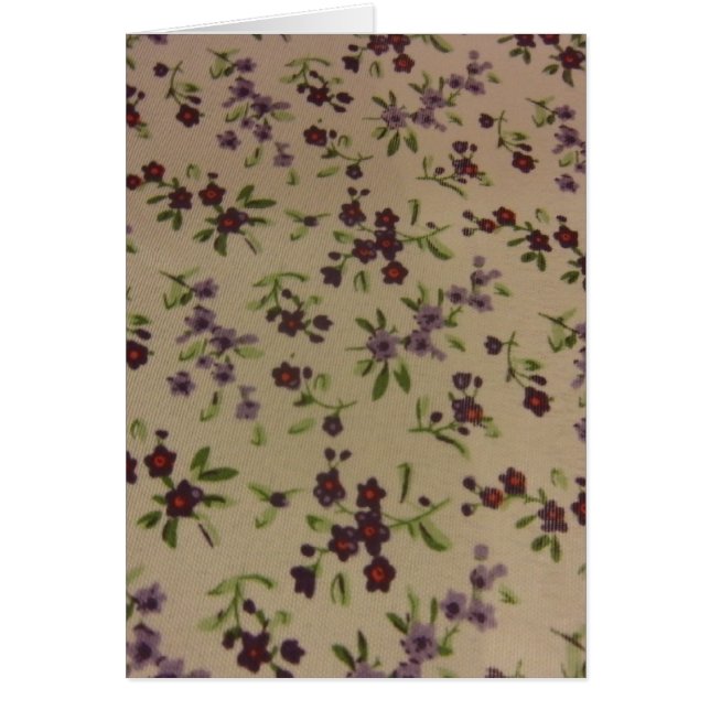 Prairie Calico Blume (Vorne)