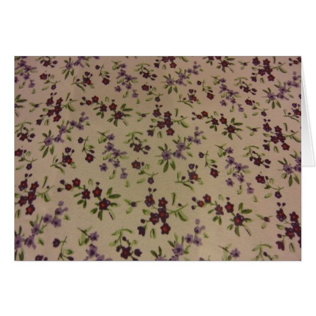 Prairie Calico Blume (Vorderseite (Horizontal))