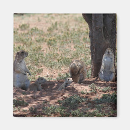 Prairie Dog Family Magnet