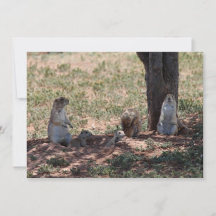 Prairie Dog Family Mitteilungskarte