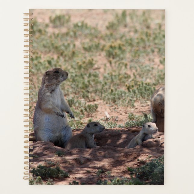 Prairie Dog Family Planer (Vorderseite)