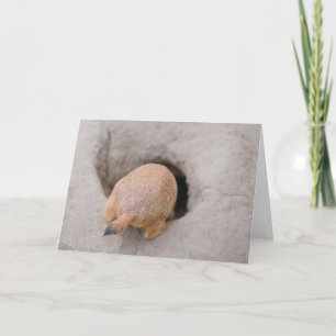 Prairie Dog Hintern Karte
