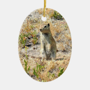 Prairie Dog in Yosemite, CA Keramik Ornament