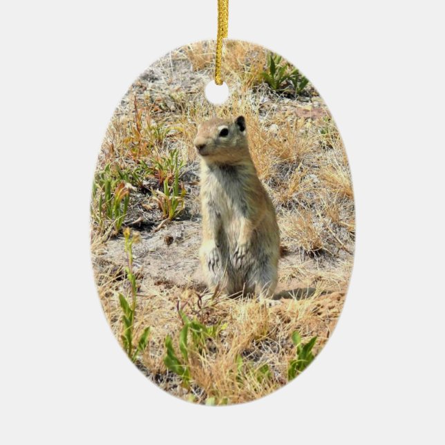 Prairie Dog in Yosemite, CA Keramik Ornament (Vorne)