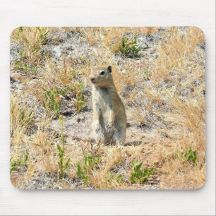 Prairie Dog in Yosemite, CA Mousepad