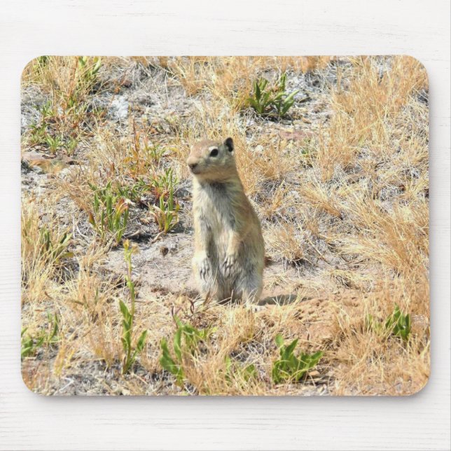 Prairie Dog in Yosemite, CA Mousepad (Vorne)