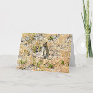 Prairie Dog in Yosemite, Kalifornien Karte