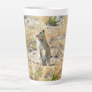 Prairie Dog in Yosemite, Kalifornien Milchtasse