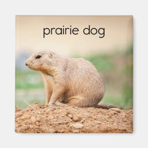 Prairie Dog Kühlschrank Magnet