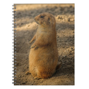 Prairie Dog Notebook Notizblock