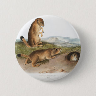 Prairie Dog oder Prairie-Camping Button
