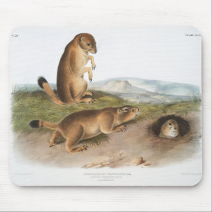 Prairie Dog oder Prairie-Camping Mousepad