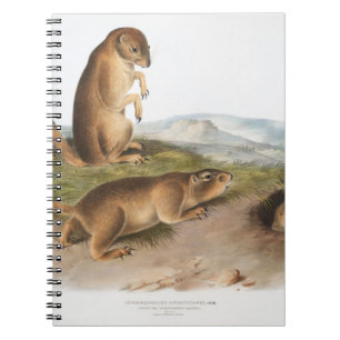 Prairie Dog oder Prairie-Camping Notizblock