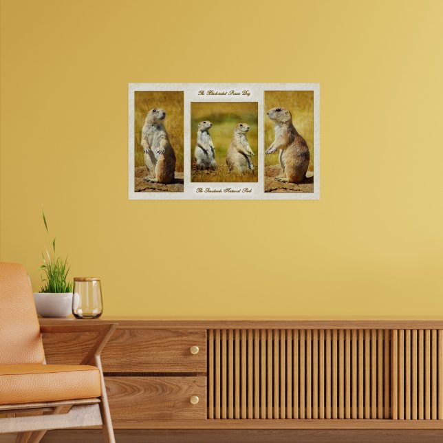 Prairie-Dog-Poster Poster (Wohnzimmer 2)