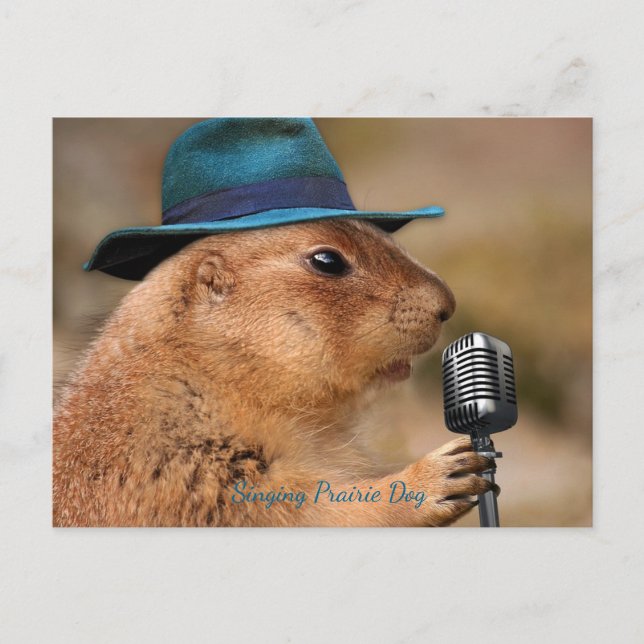 Prairie Dog singen Postkarte (Vorderseite)