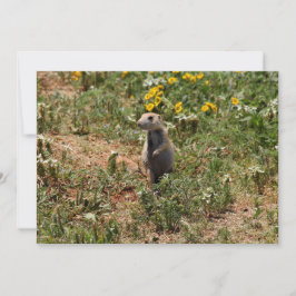 Prairie Dog Solo Mitteilungskarte