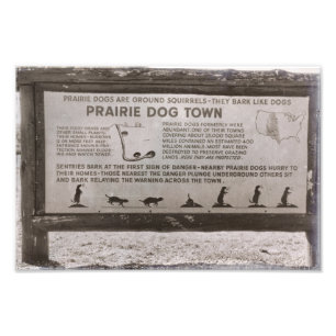 Prairie Dog Town South Dakota Wind Cave Retro Fotodruck