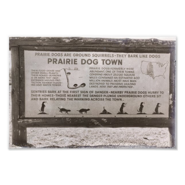Prairie Dog Town South Dakota Wind Cave Retro Fotodruck (Vorne)