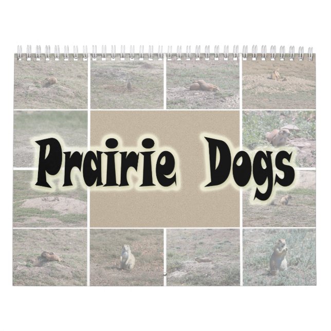 Prairie Dogs Kalender (Titelbild)