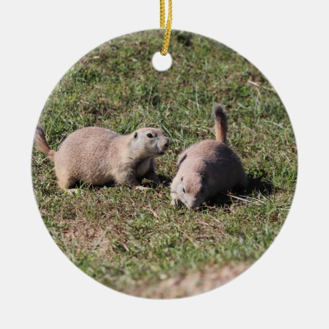 Prairie Dogs Playing in Badlands National Park, SD Keramik Ornament (Vorne)