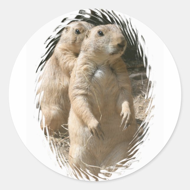 Prairie Dogs Sticker (Vorderseite)