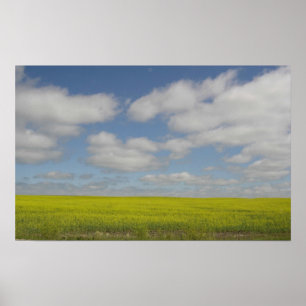 Prairie Fields Print Manitoba Landschaftsdrucke Poster