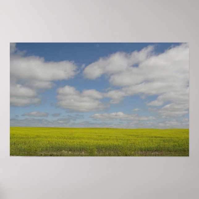 Prairie Fields Print Manitoba Landschaftsdrucke Poster (Vorne)