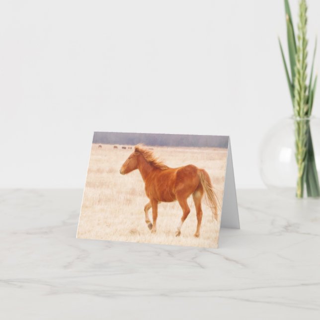 Prairie Fire Dankeskarte (Vorderseite)