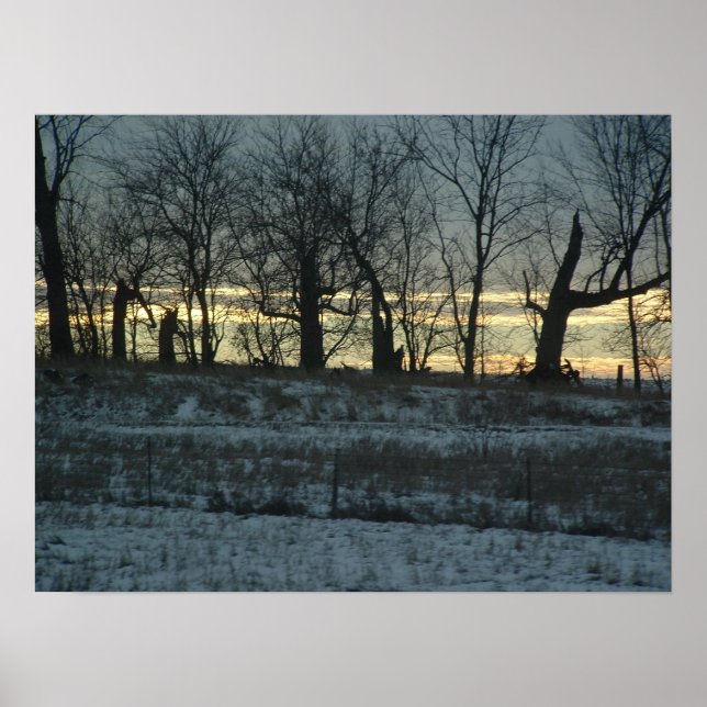 Prairie Gold Poster (Vorne)