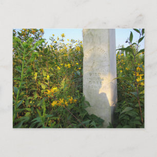 Prairie Gravestones, Bigelow Friedhof, Ohio Postkarte