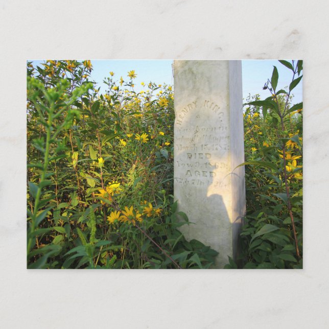 Prairie Gravestones, Bigelow Friedhof, Ohio Postkarte (Vorderseite)