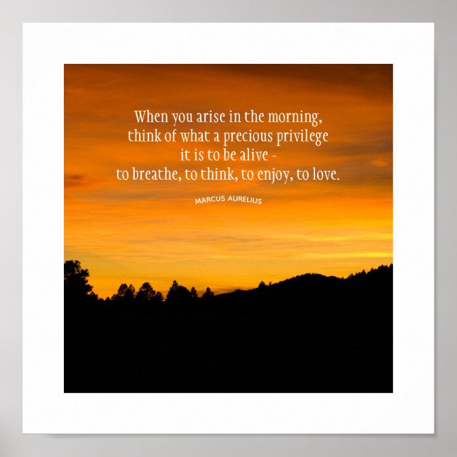 Prairie Hill Sunset Silhouette Foto Poster (Vorne)