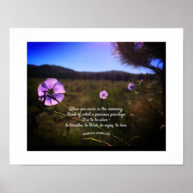 Prairie Hill Sunset Silhouette Foto Poster (Vorne)