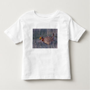 Prairie-Huhn, Tympanuchus Kleinkind T-shirt