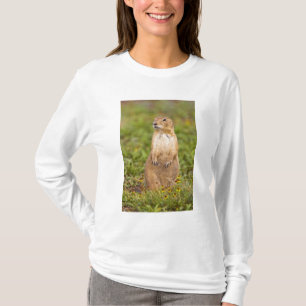 Prairie Hund Cynomys T-Shirt