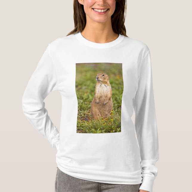 Prairie Hund Cynomys T-Shirt (Vorderseite)