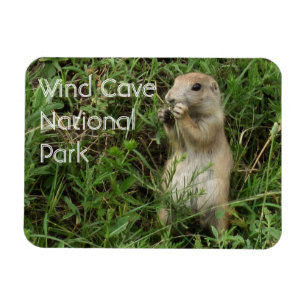 Prairie Hund Stehend, Essen im Gras, Windhöhle Magnet