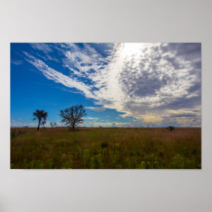 Prairie, Kissimmee Prairie Preserve Staat Park, FL Poster