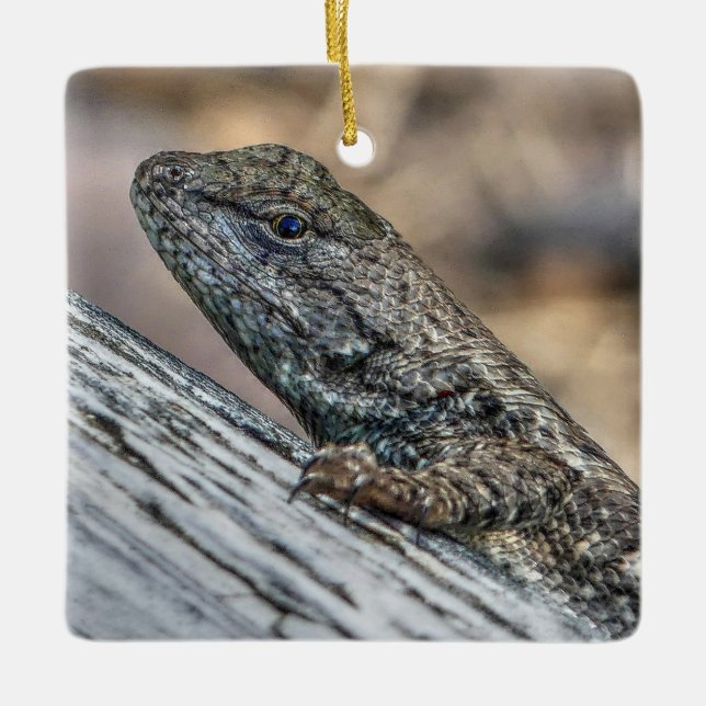 Prairie Lizard Keramikornament (Vorderseite)
