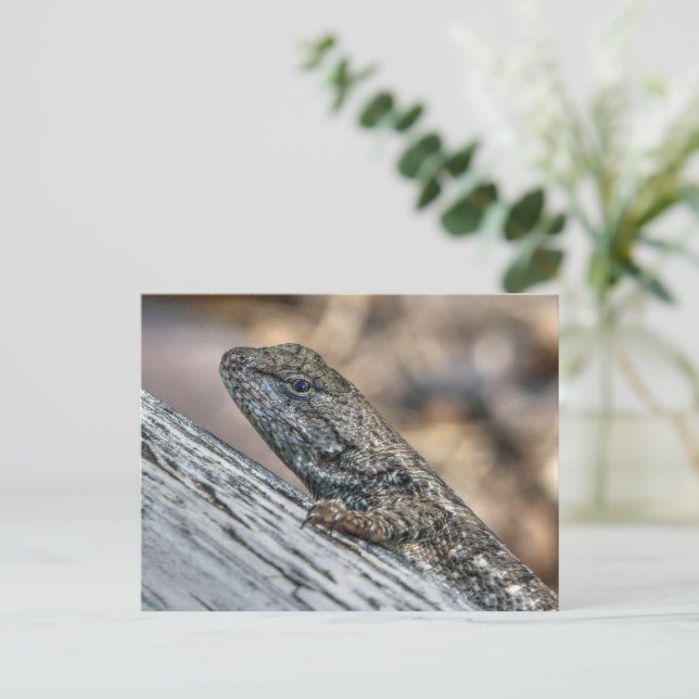 Prairie Lizard Postkarte (Stehend Vorderseite)