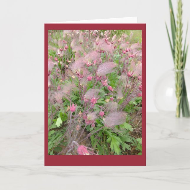 Prairie Smoke Blank Note Card Karte (Vorderseite)