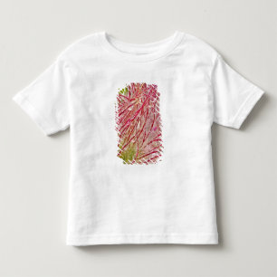 Prairie Smoke im Regen bei Theodore Kleinkind T-shirt